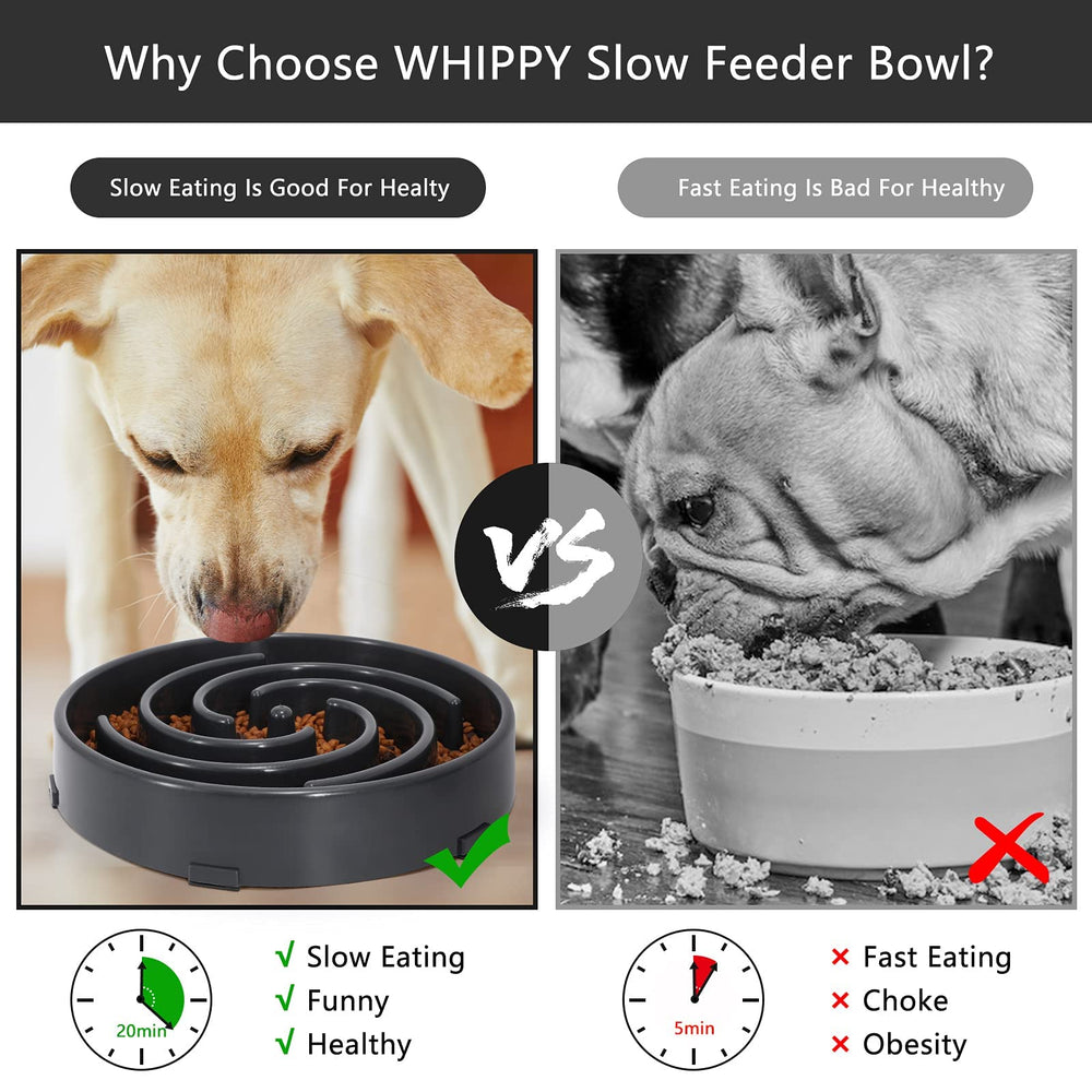 WHIPPY Slow Feeder dog eating in bowl demonstrates interactive feeding experience