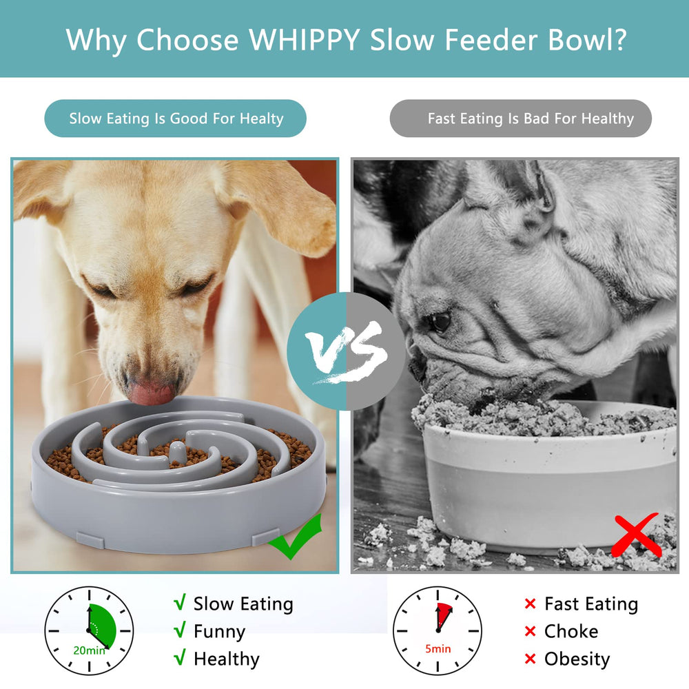 WHIPPY Slow Feeder durable finish supports everyday use for large dogs.