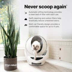 Whisker Litter-Robot 3 front-wall hooks secure filters quickly.