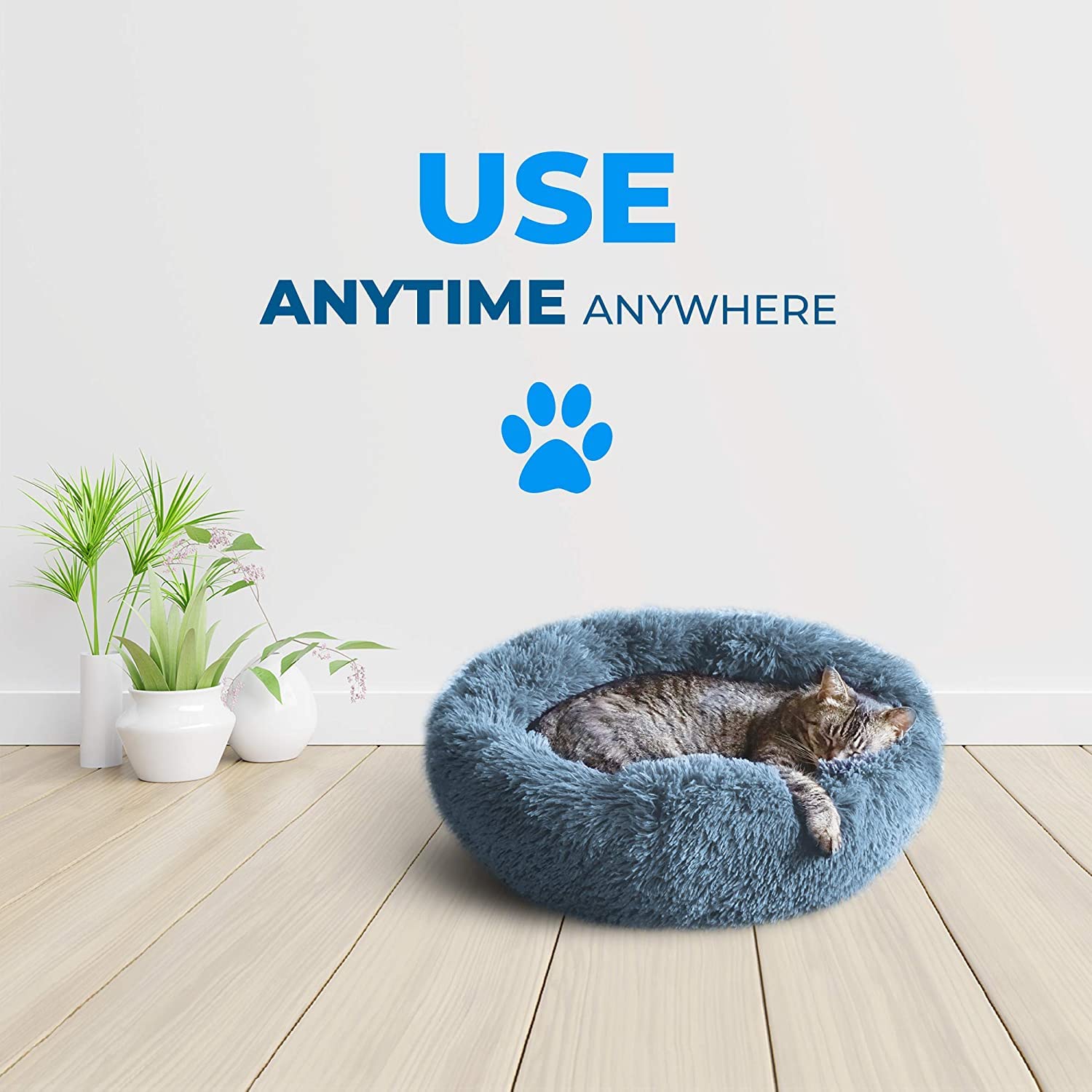 Whiskers & Friends small-to-large bed options fit cats and small dogs.