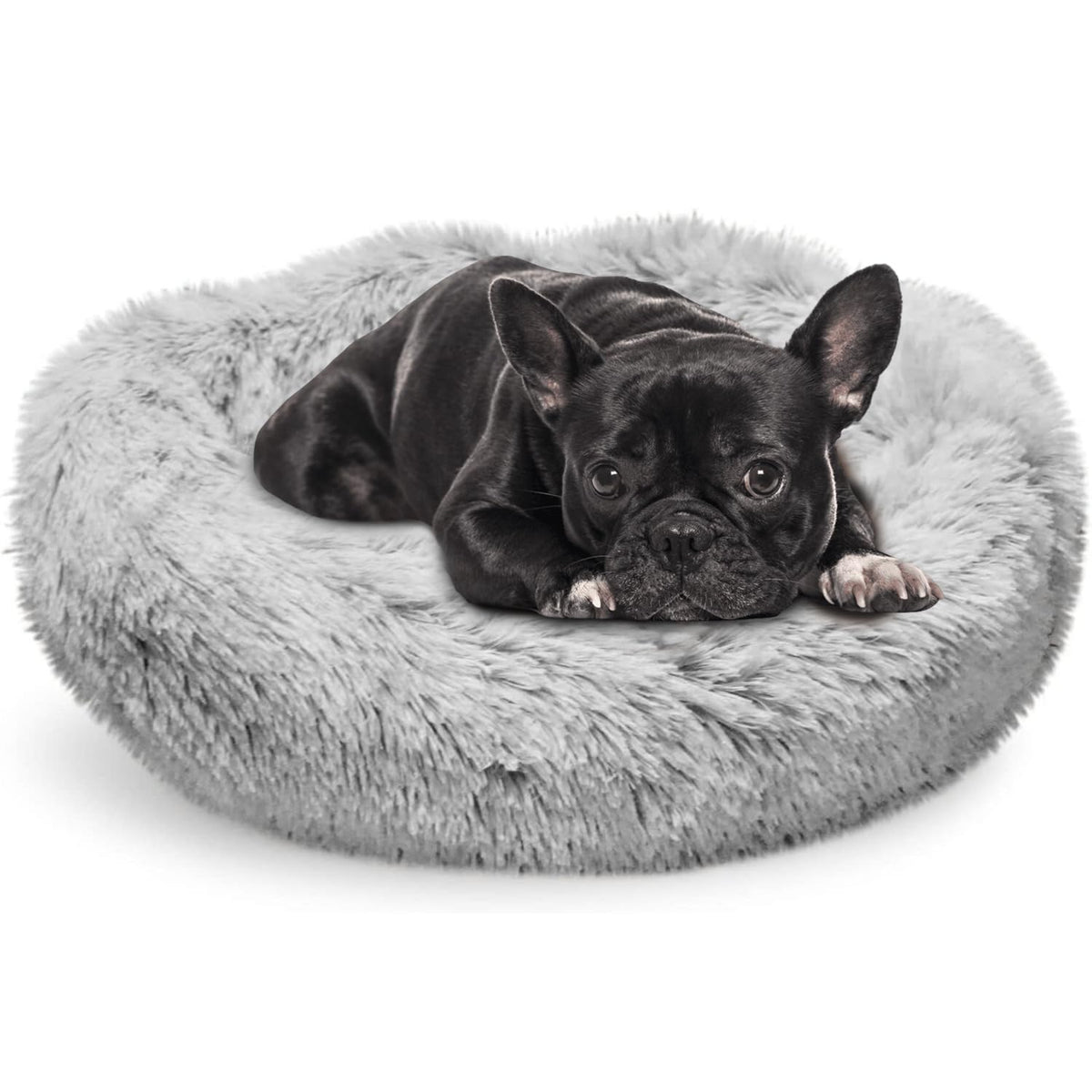 Whiskers & Friends 20in cat bed top view offers plush surface for cozy naps.