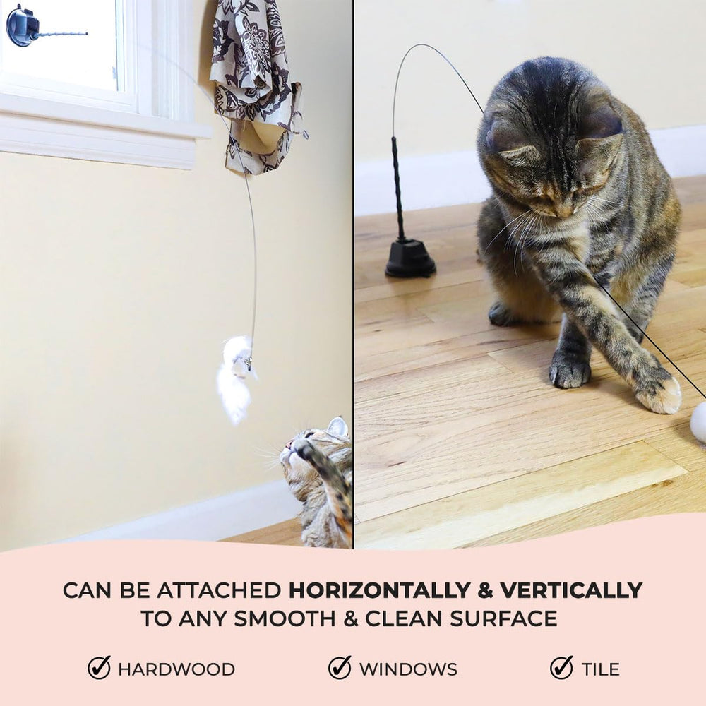 Whiskertons-cat-feather-bells: bells and feathers attract attention for extended sessions.