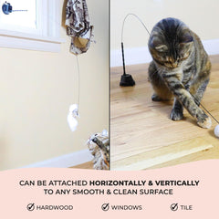 Whiskertons-cat-feather-bells: bells and feathers attract attention for extended sessions.