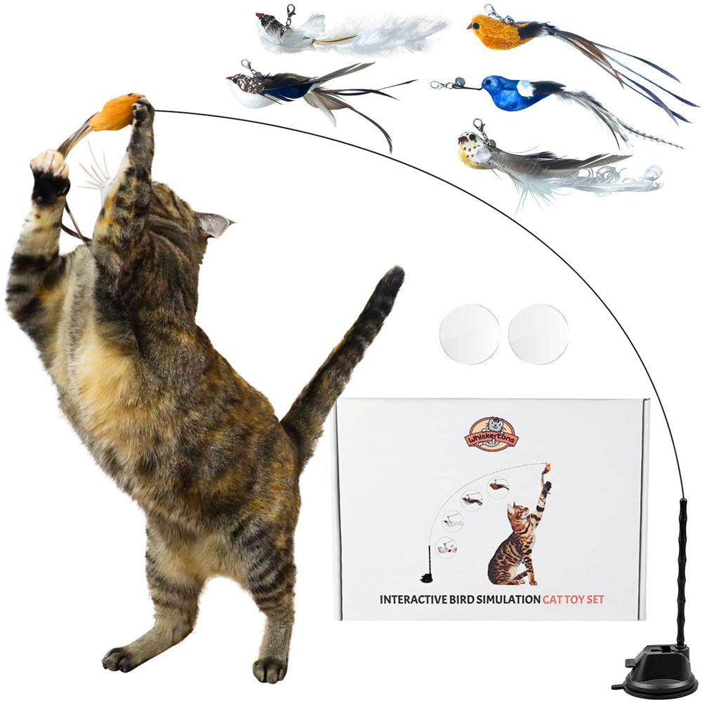 Whiskertons interactive-bird-toy-base: secure self-holding base for independent play.