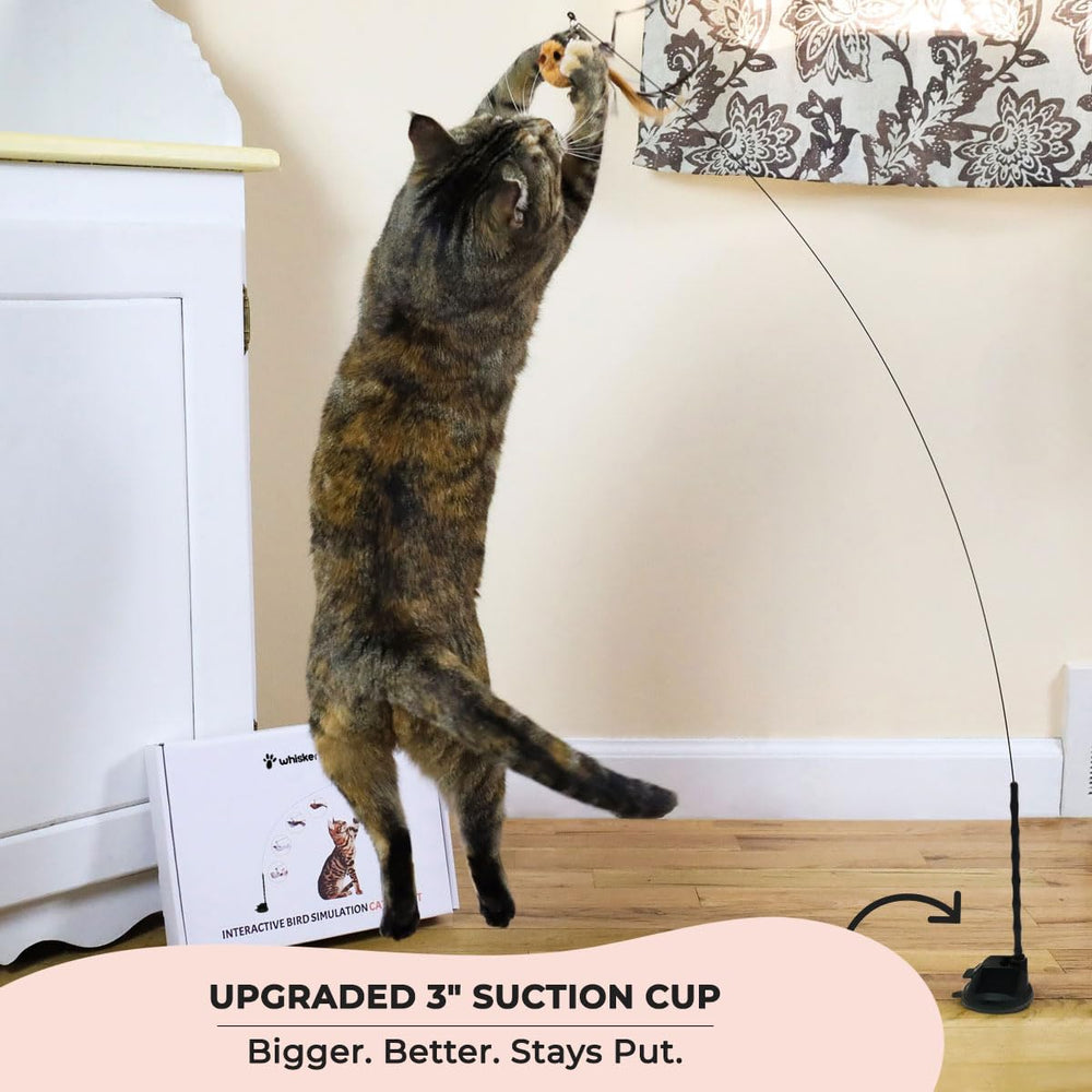 Whiskertons interactive-bird-toy-birds: five colorful birds spark curiosity and varied play.