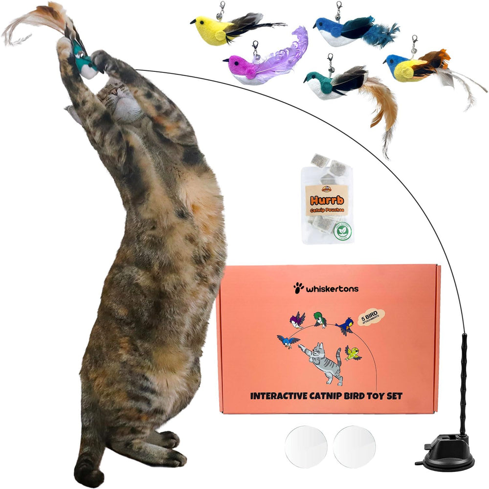 Whiskertons interactive bird toy set with a sling base boosts indoor enrichment and active play.