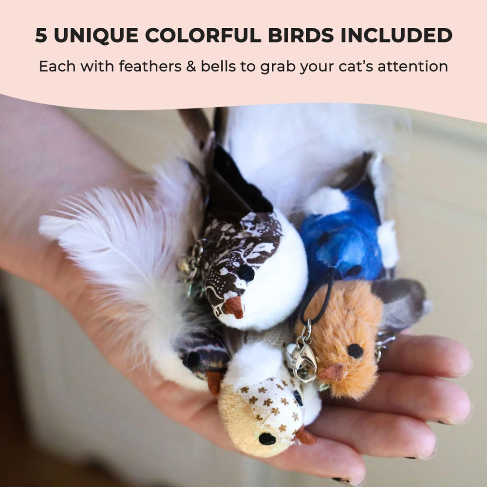 Whiskertons-replacement-birds-5pack: five varied birds for ongoing enrichment.