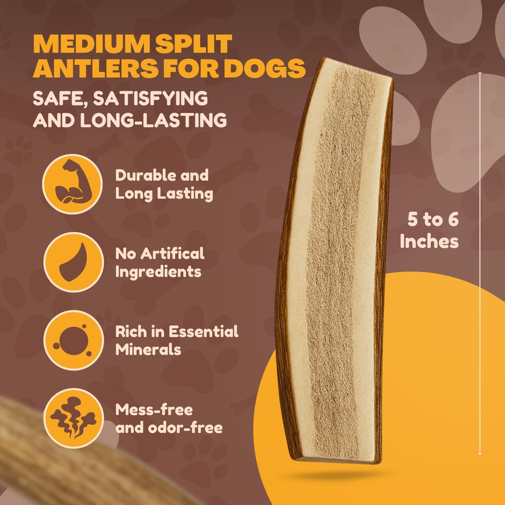 WhiteTail Naturals elk antler chew with exposed marrow engages scent and natural chewing instinct.
