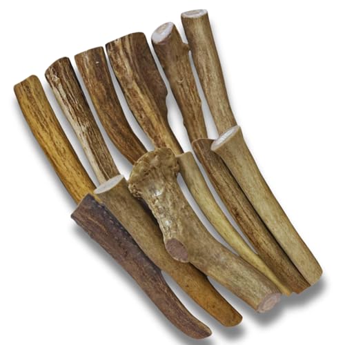 WhiteTail Naturals 4-5 inch antlers closeup, natural minerals for healthy chewing instincts