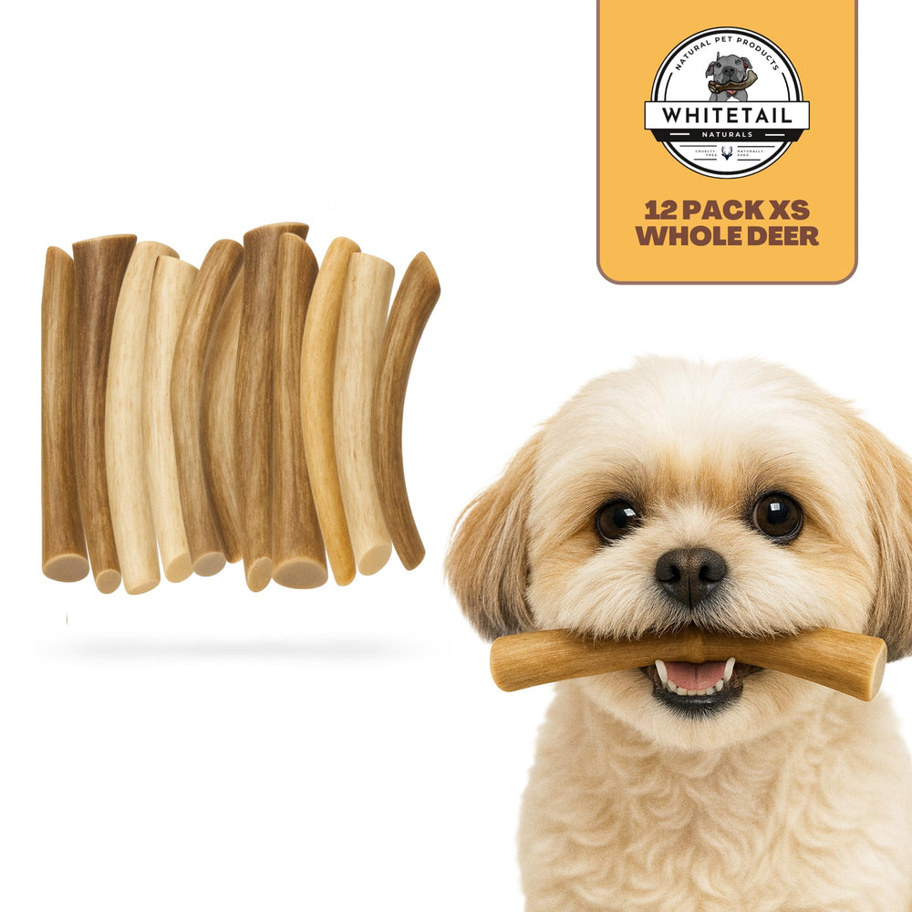 WhiteTail Naturals antler safe edges sanded for small-dog safety