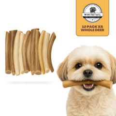 WhiteTail Naturals antler safe edges sanded for small-dog safety