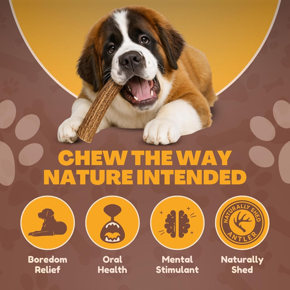 WhiteTail Naturals ethically shed Texas antler; Texas-made and naturally mineral-rich