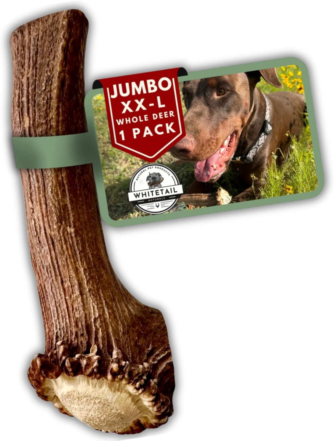 WhiteTail Naturals jumbo-xxl deer antler 1-pack; long-lasting chew for aggressive chewers indoors