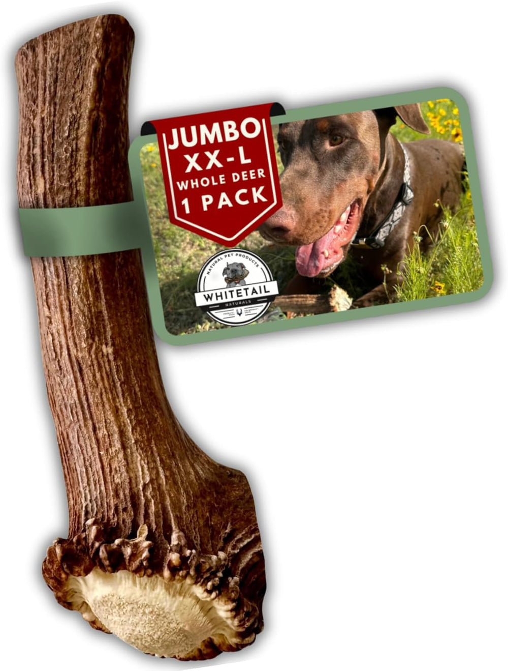 WhiteTail Naturals jumbo-xxl deer antler 1-pack; long-lasting chew for aggressive chewers indoors