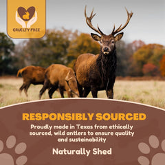 WhiteTail Naturals jumbo-xxl deer antler close-up; natural texture for satisfying gnawing