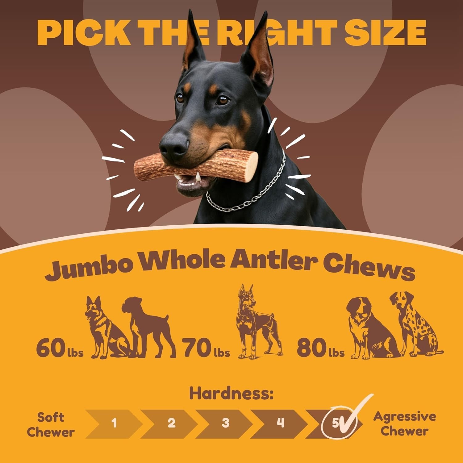 WhiteTail Naturals jumbo-xxl antler with sanded edges; safer interior play