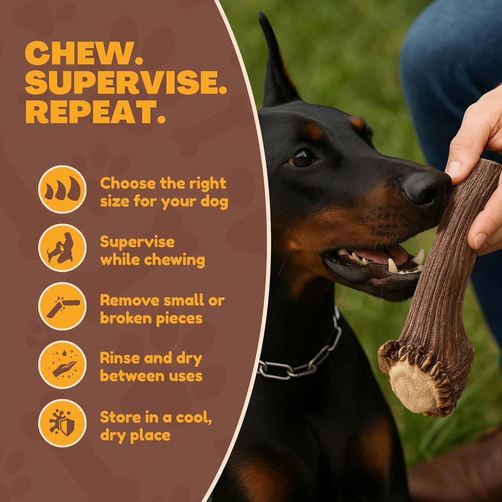 WhiteTail Naturalsodorless deer antler; mess-free indoor chewing