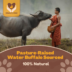 WhiteTail Naturals dog chewing buffalo horn in action