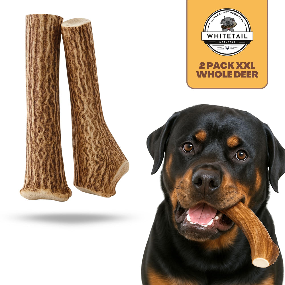 WhiteTail Naturals antler chews with safety edge-sanded for worry-free chewing.