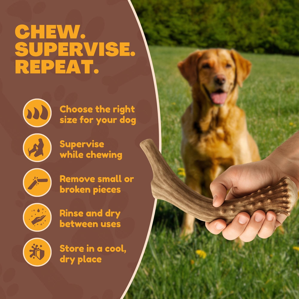WhiteTail Naturals ethically sourced shed antlers supporting sustainable chews