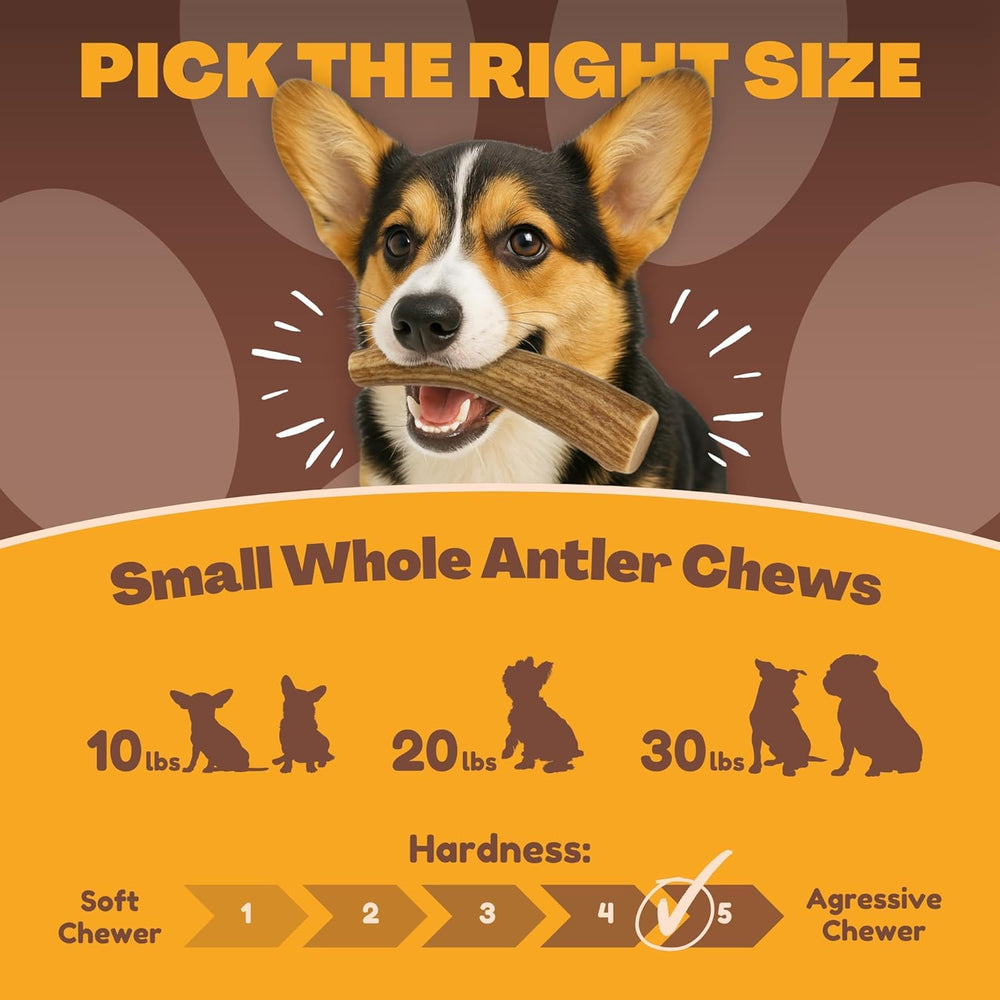 WhiteTail Naturals ethically sourced antler satisfies natural chewing instincts and promotes mindful chewing.