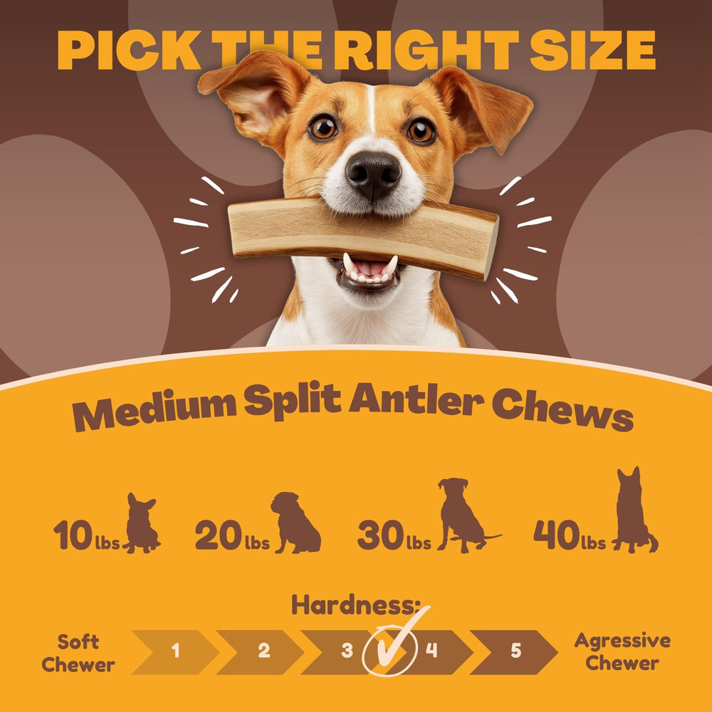 WhiteTail Naturals Grade A, cruelty-free antlers combine natural minerals for everyday chewing.