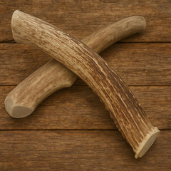 WhiteTail Naturals deer antler chew closeup texture for a durable chew