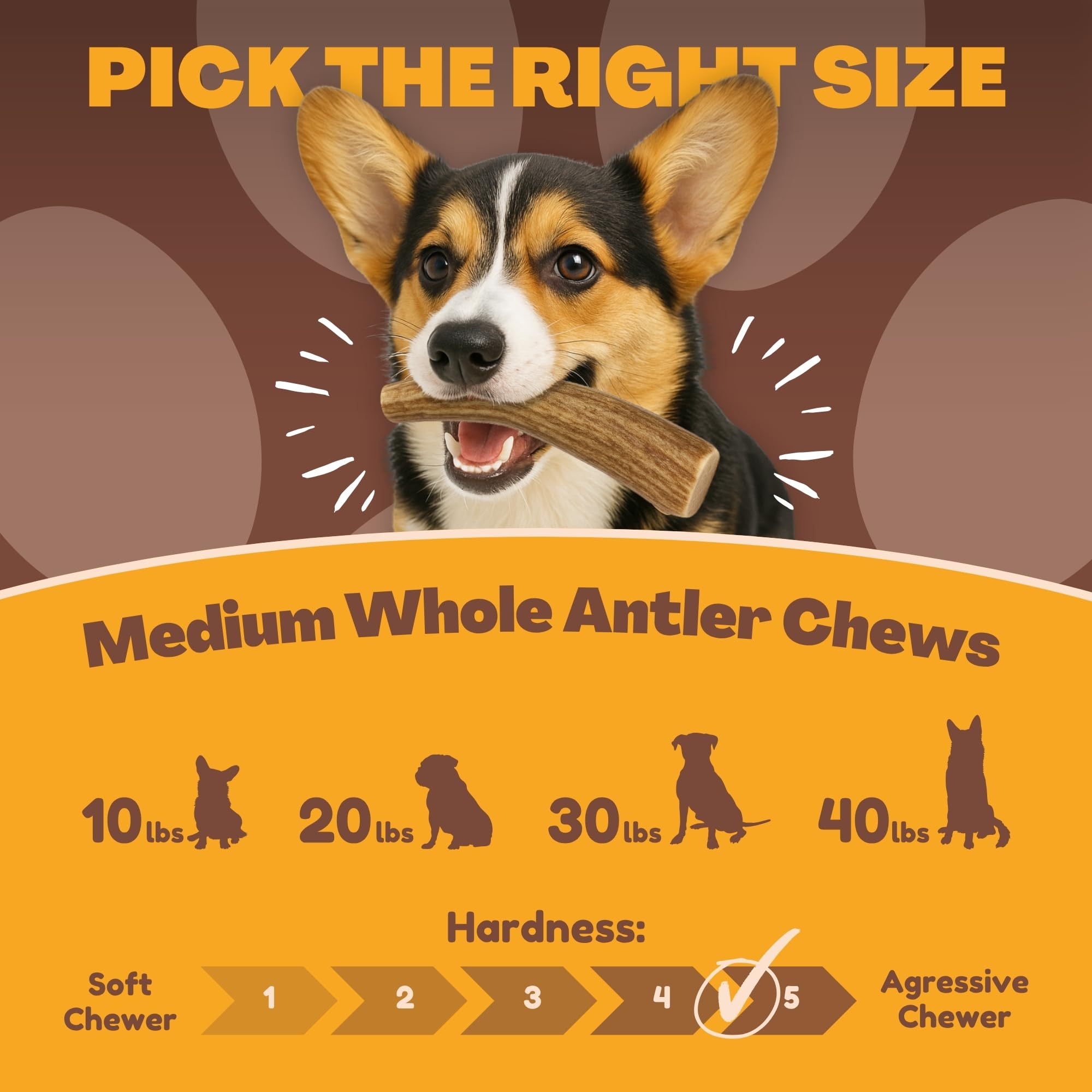 WhiteTail Naturals long-lasting antler chew—ideal for jaw engagement and boredom relief