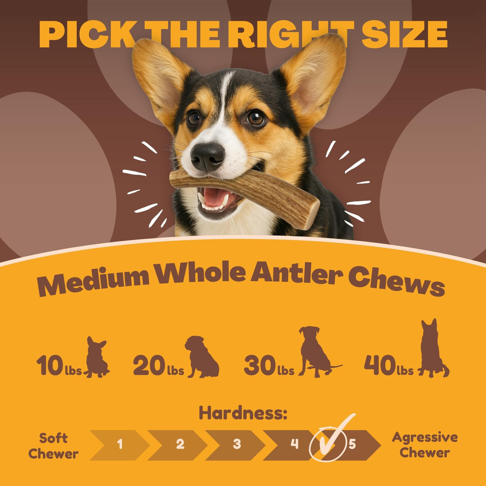 WhiteTail Naturals long-lasting antler chew—ideal for jaw engagement and boredom relief