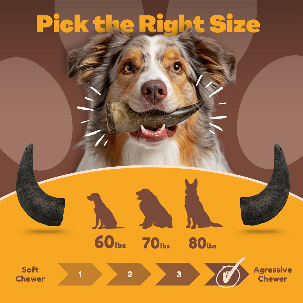 WhiteTail Naturals buffalo horn sourced from free-ranging buffalo for minerals