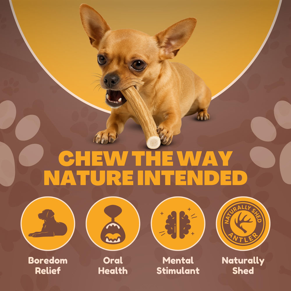 WhiteTail Naturals natural minerals such as calcium and zinc support healthy chewing