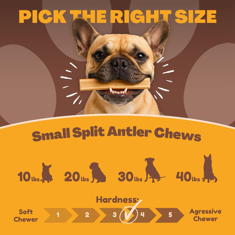 WhiteTail Naturals naturally shed antlers indicate a renewable, traceable chew for pets