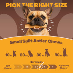 WhiteTail Naturals naturally shed antlers indicate a renewable, traceable chew for pets