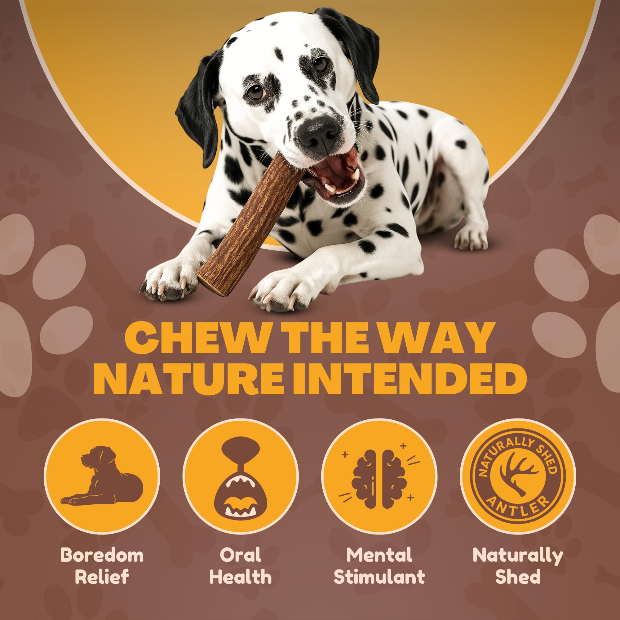 WhiteTail Naturals odorless antler chews indoors with no mess.