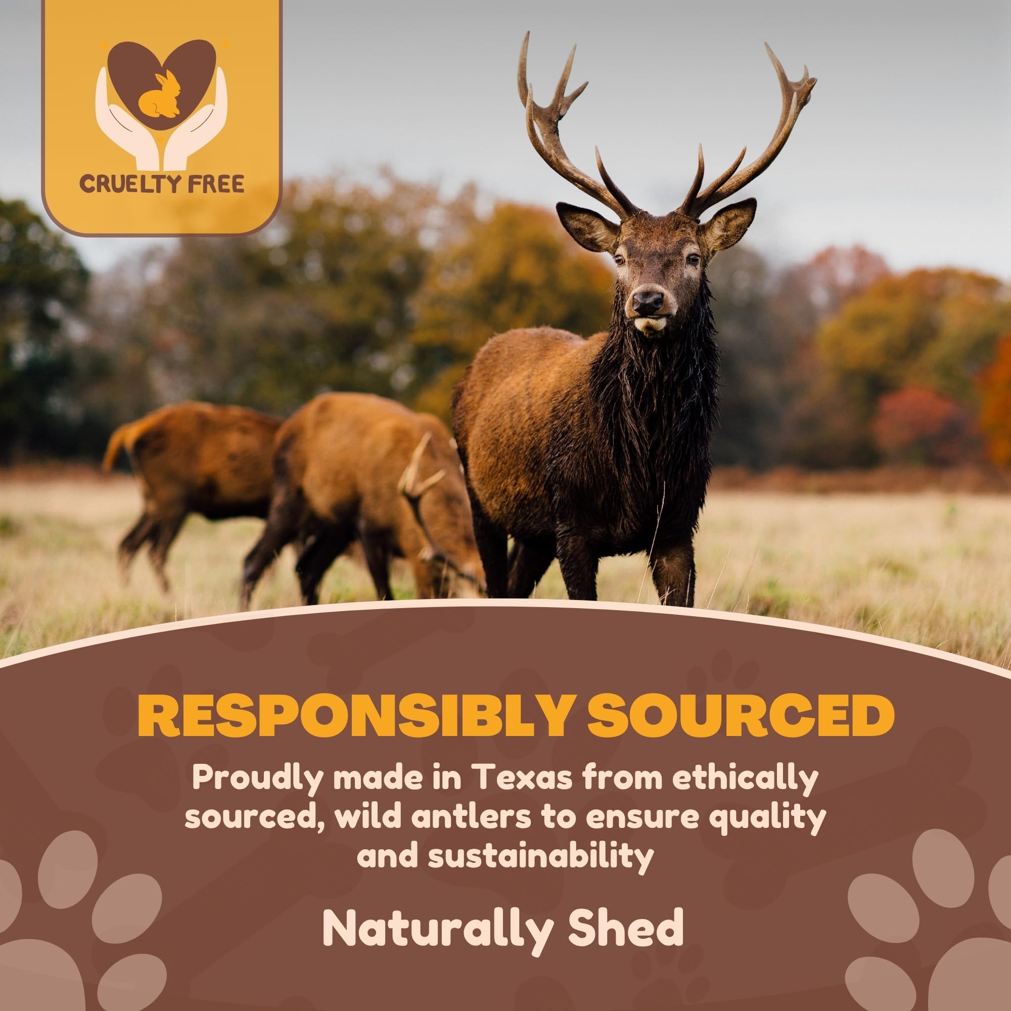 WhiteTail Naturals red deer antler split pack right view provides a durable dental-friendly chew.