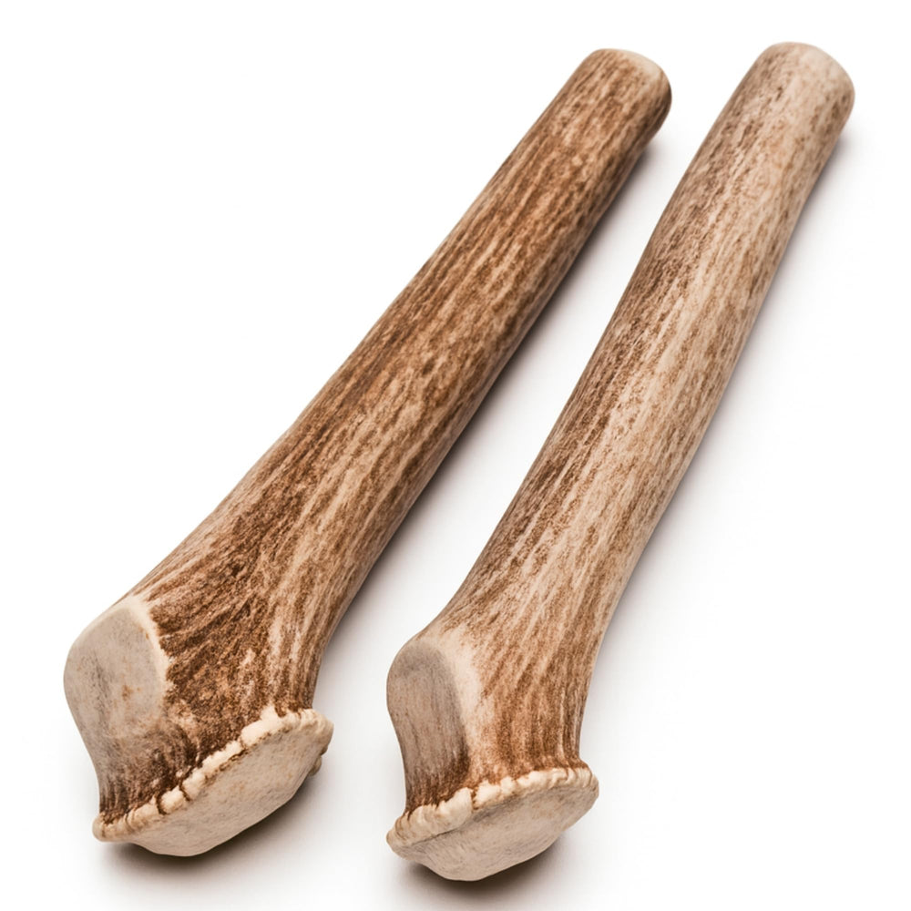 WhiteTail Naturals safe-edged antler chew with sanded tips helps prevent accidental injuries.