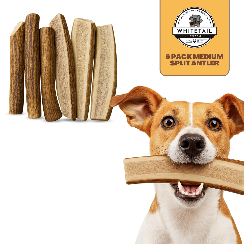 WhiteTail Naturals sanded edges reduce sharpness for safer dog chews.