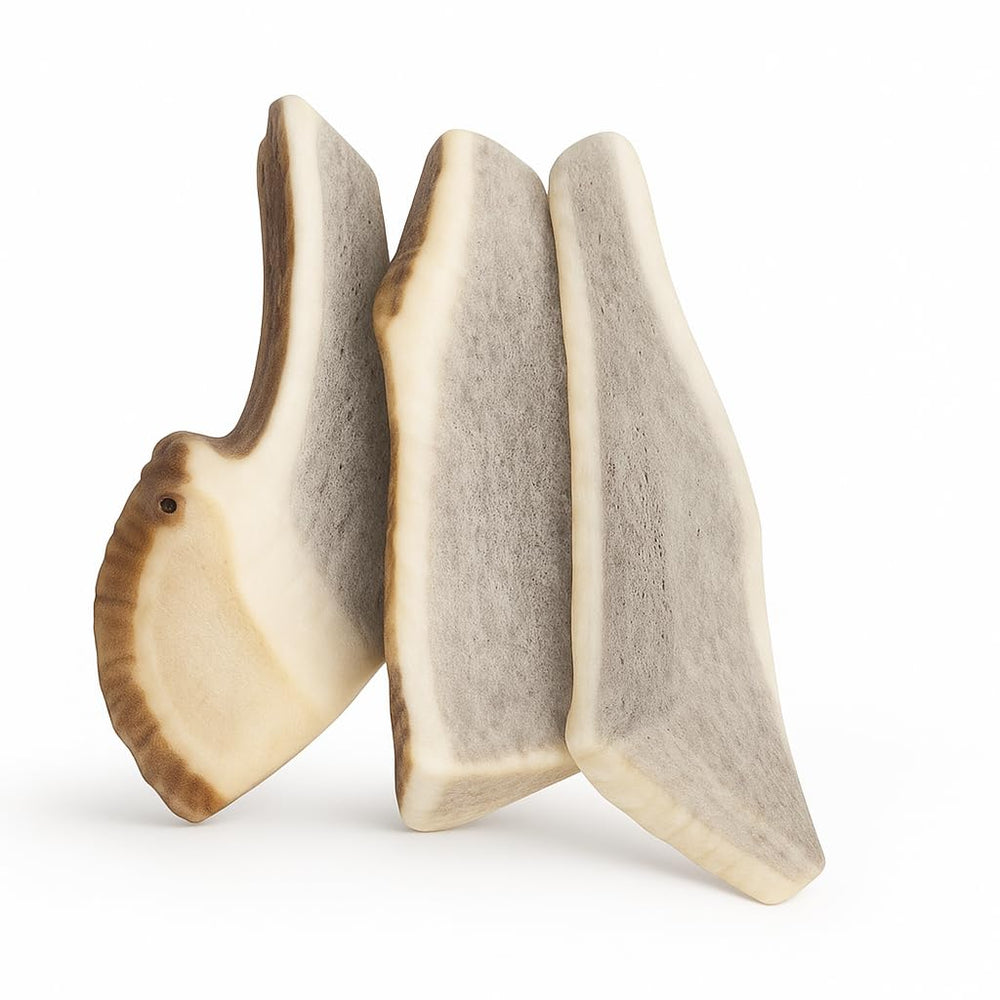 WhiteTail Naturals small-to-medium dogs elk-antlers demonstrate durable, mess-free indoor chewing