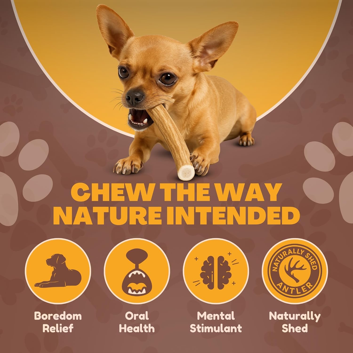 WhiteTail Naturals sun-aged antler delivers a natural dental-safe alternative to rawhide.