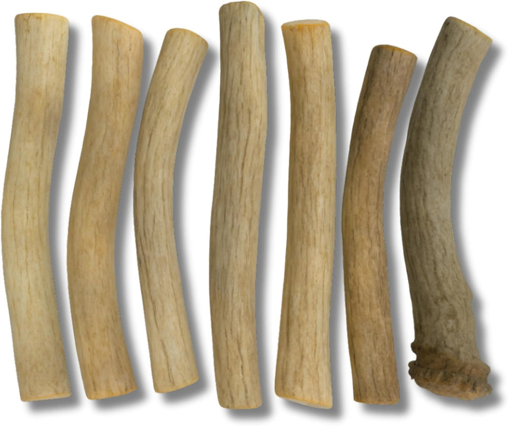 WhiteTail Naturals sun-aged deer antler dog chews 6-pack for small dogs promote durable chewing.