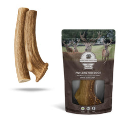 WhiteTail Naturals tough antler dog chews 2-pack XL, built for aggressive chewers and longer engagement.