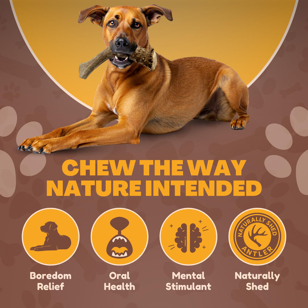 WhiteTail Naturals XL Elk Antler ethically-sourced label reinforces responsibility