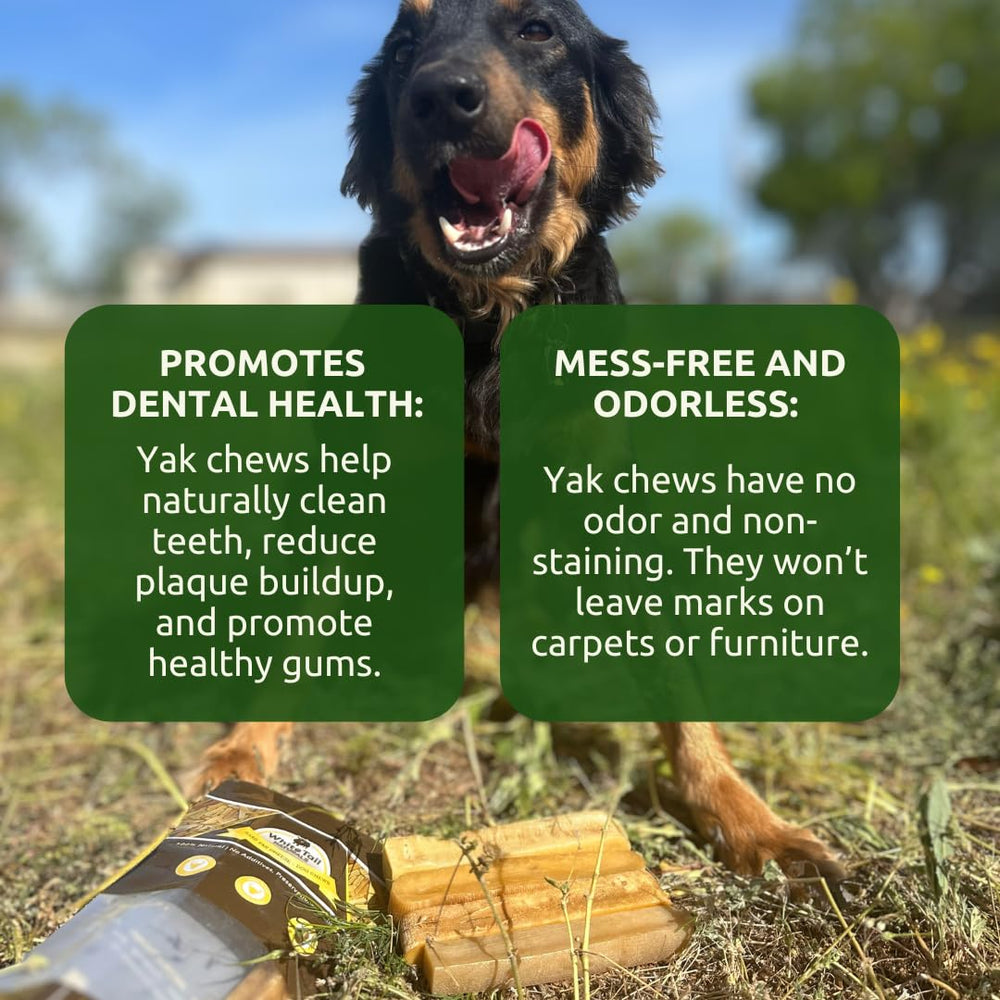 WhiteTail Naturals Yak Cheese Dog Chews natural ingredients closeup with simple three-ingredient mix