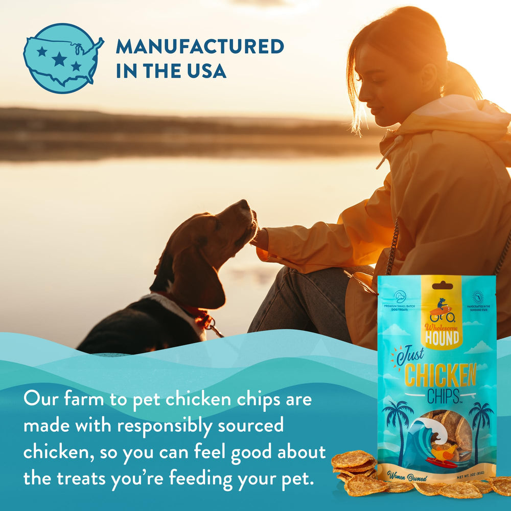 Wholesome Hound Chicken Chips dog-snack-motivation captures dogs excited during play.