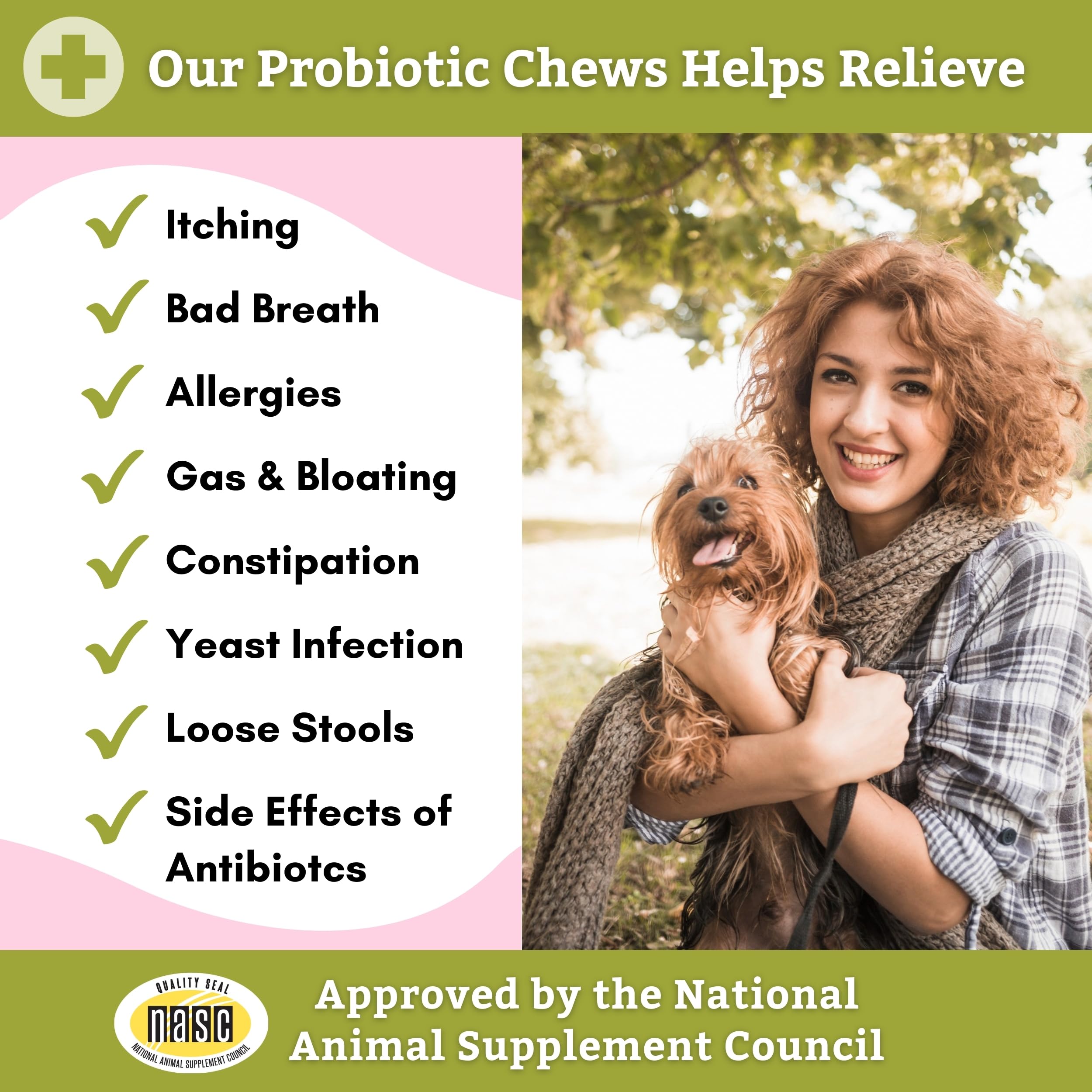 Wholistic Digest-All Plus scene emphasizes dog gut health in daily routine