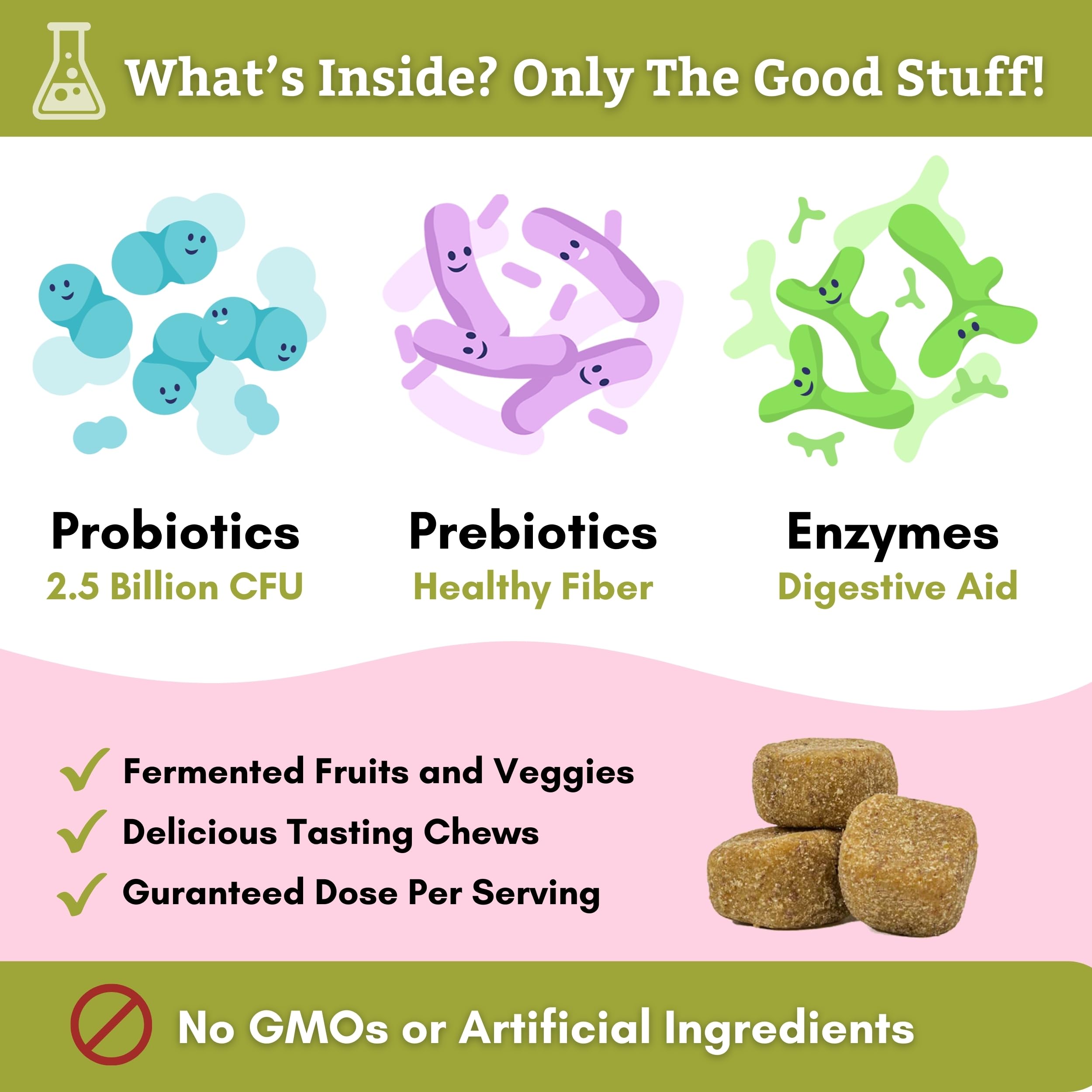 Wholistic Digest-All Plus probiotic enzymes bottle showcases gut health support