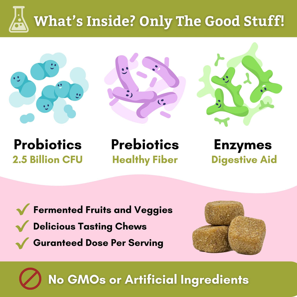 Wholistic Digest-All Plus probiotic enzymes bottle showcases gut health support