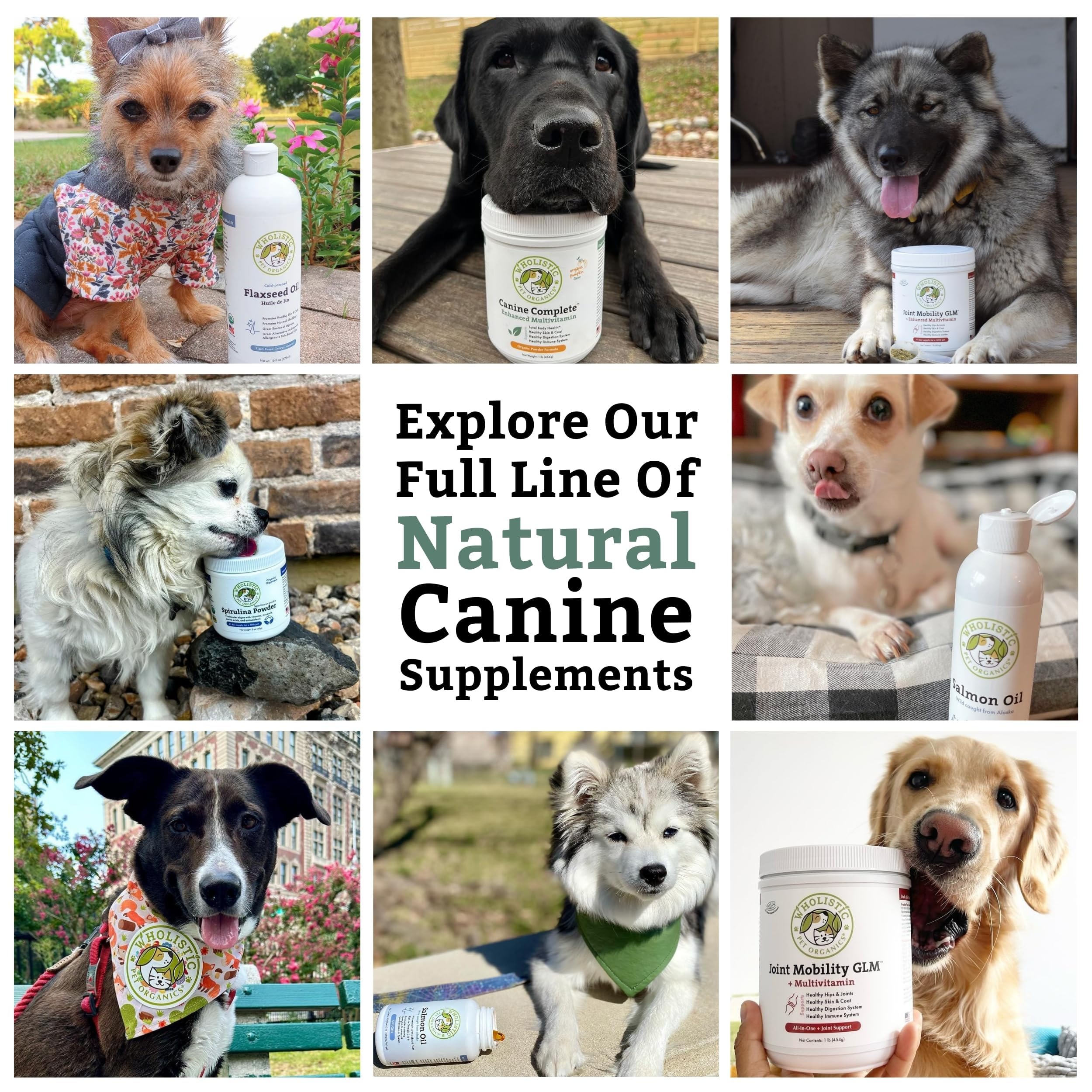 Wholistic Pet Organics Canine Complete-90-scoops — ample supply for long-term use.