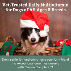 Wholistic Pet Organics Canine Complete daily-dosage-scoop — easy-measure servings for consistent supplementation.