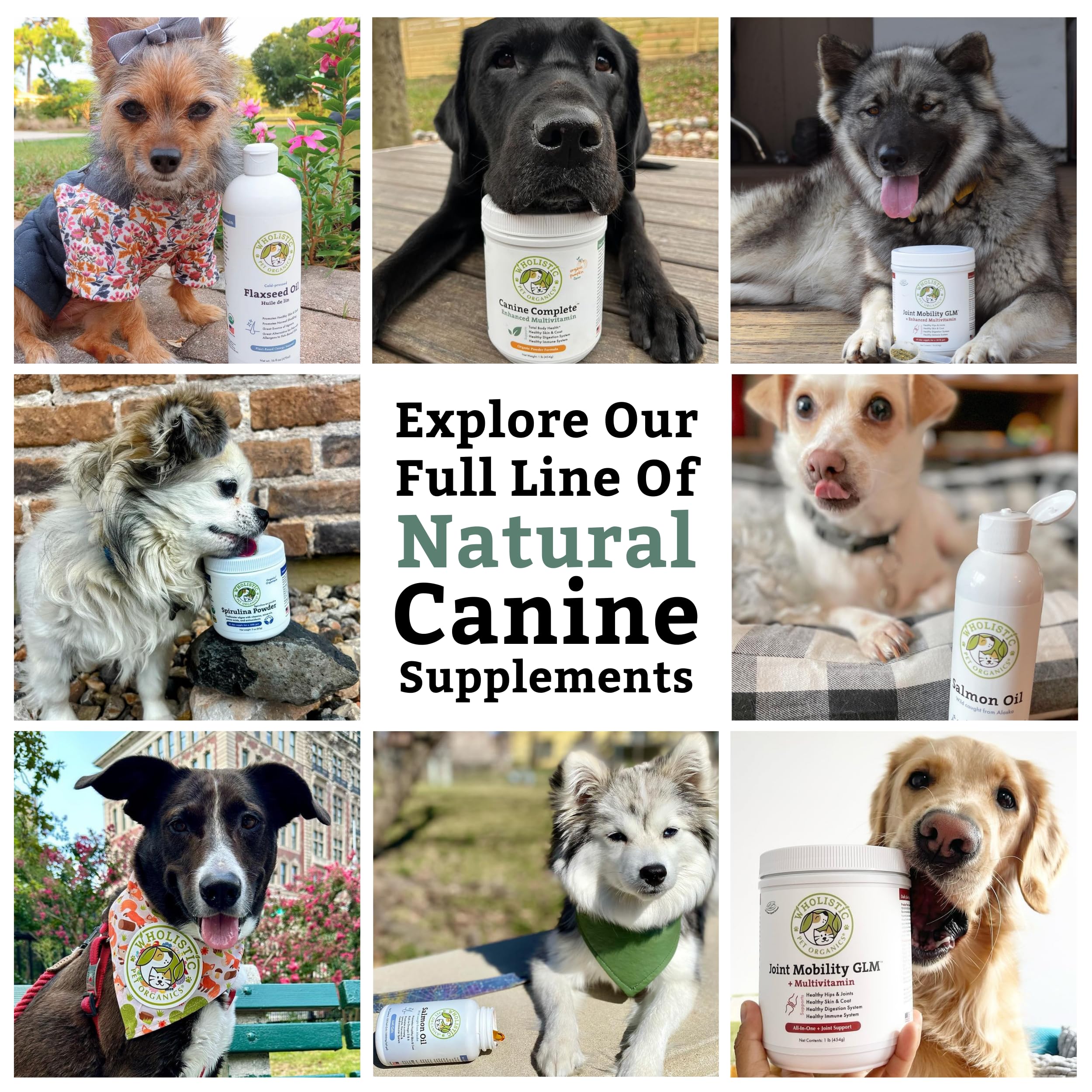 Wholistic Pet Organics Canine Complete organic ingredients support homemade diet nutrition